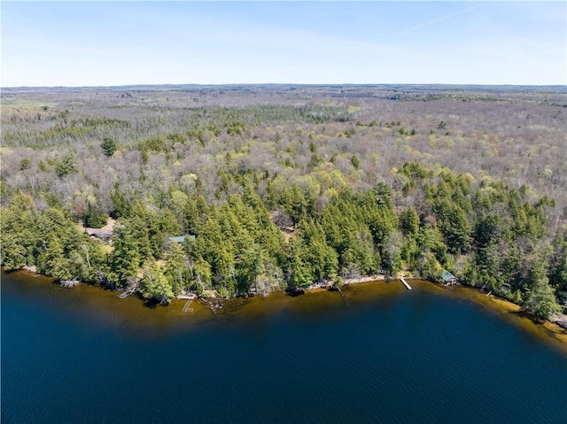 47025 Twin Pines Ln, Cable, WI 54821 - aerial overview of property's location featuring a forest and a large body of water