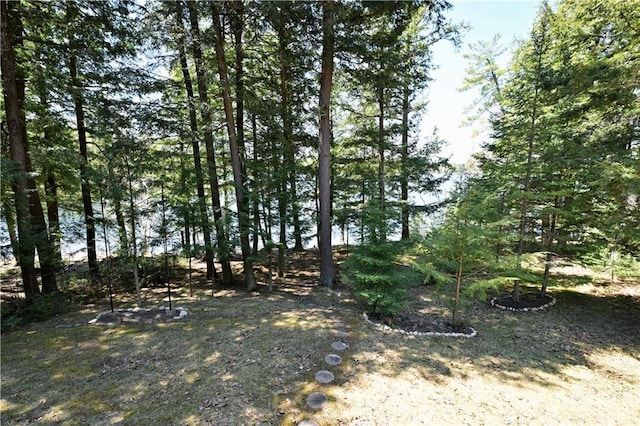 47025 Twin Pines Ln, Cable, WI 54821 - view of local wilderness