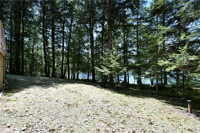 47025 Twin Pines Ln, Cable, WI 54821 - view of undeveloped land