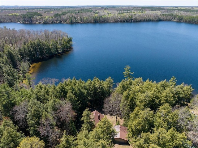 47025 Twin Pines Ln, Cable, WI 54821 - aerial view of a heavily wooded area and a large body of water