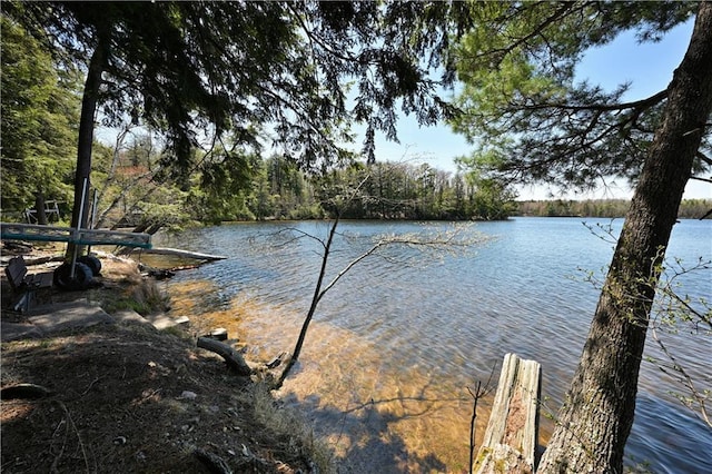 47025 Twin Pines Ln, Cable, WI 54821 - water view with a forest