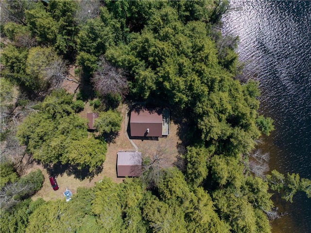 47025 Twin Pines Ln, Cable, WI 54821 - bird's eye view of a large body of water