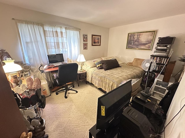 6054 W Port Ave, Milwaukee, WI 53223 - view of carpeted bedroom