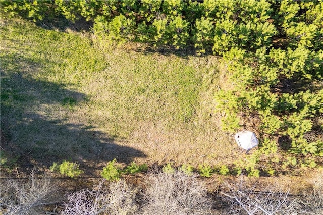 N3751 Bryant Rd, Bruce, WI 54819 - bird's eye view