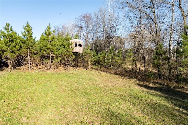 N3751 Bryant Rd, Bruce, WI 54819 - view of green lawn