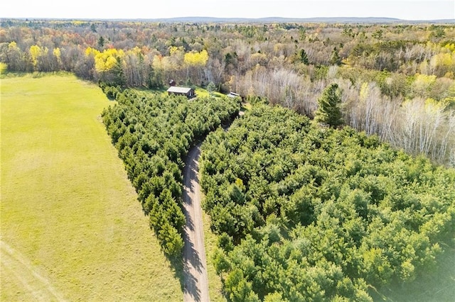 N3751 Bryant Rd, Bruce, WI 54819 - aerial view of a forest