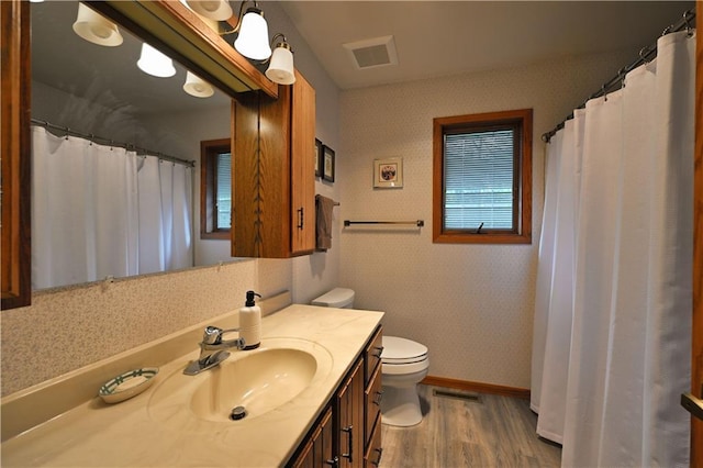 23075 Missionary Point Dr, Cable, WI 54821 - full bathroom with wood finished floors, toilet, vanity, baseboards, and wallpapered walls