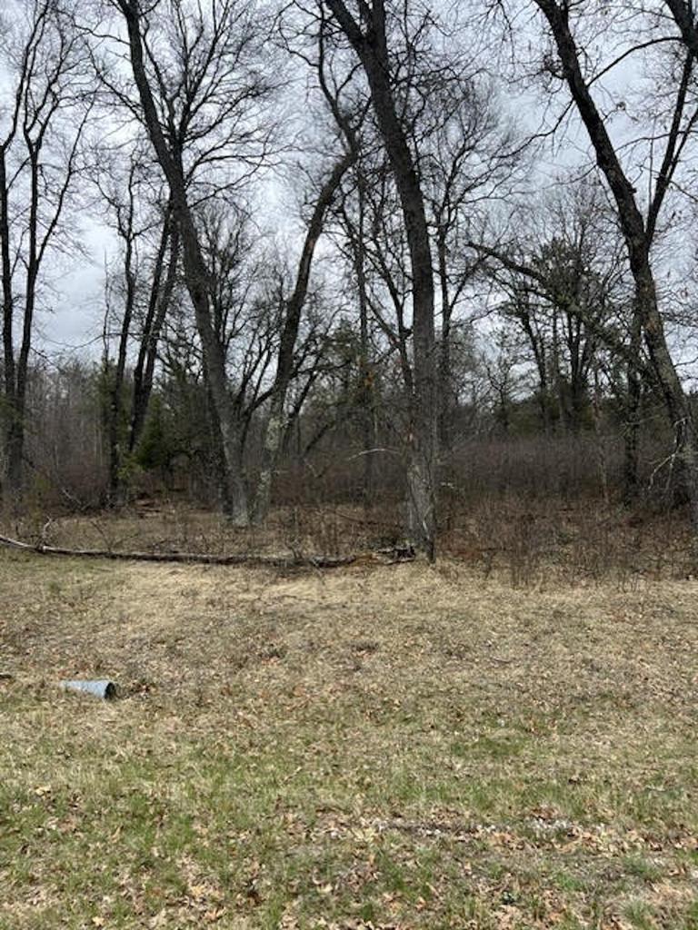 Nolan Ln, Crivitz, WI 54114