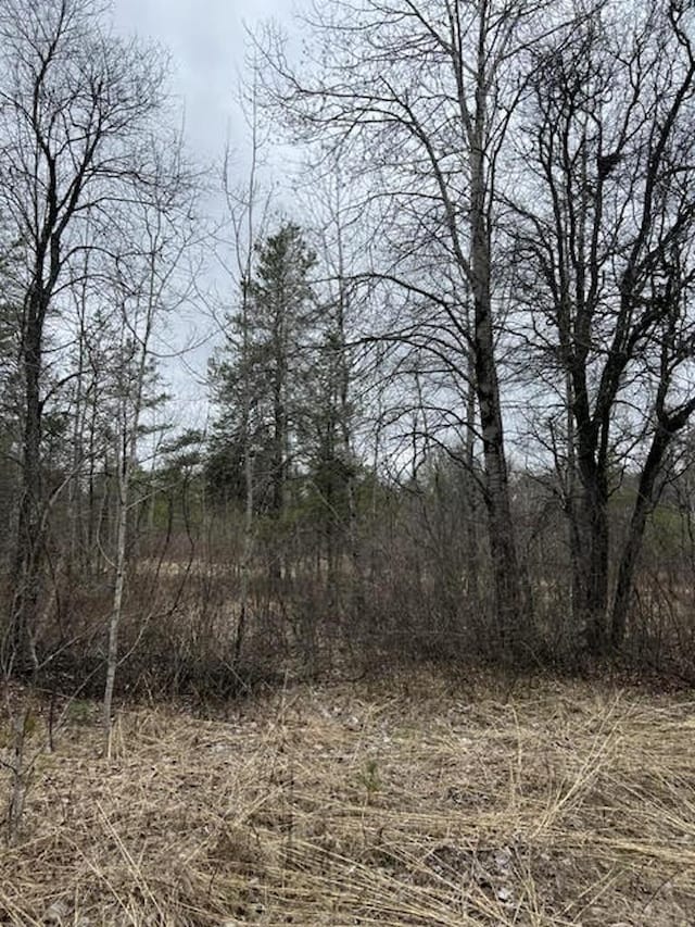 Evan Hill Rd, Crivitz, WI 54114