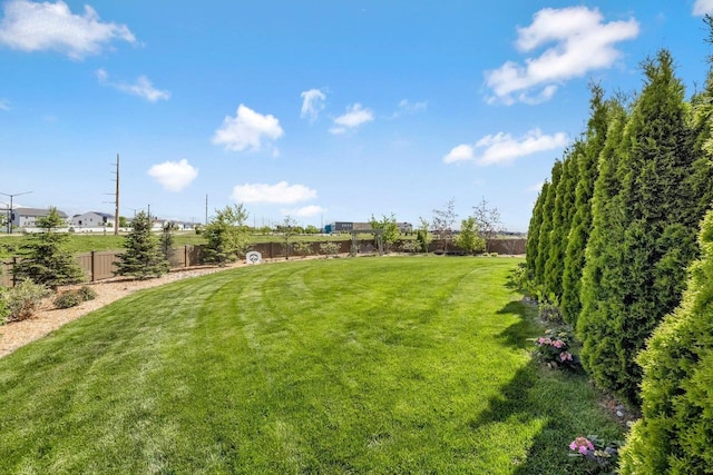 335 Bella Way, Sun Prairie, WI 53590 - view of yard