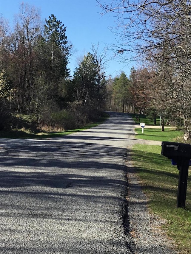 N9960 Meadowlark Ln, Crivitz, WI 54114 - view of asphalt road