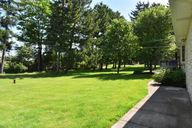 15060 Carpenter Rd, Brookfield, WI 53005 - view of green lawn