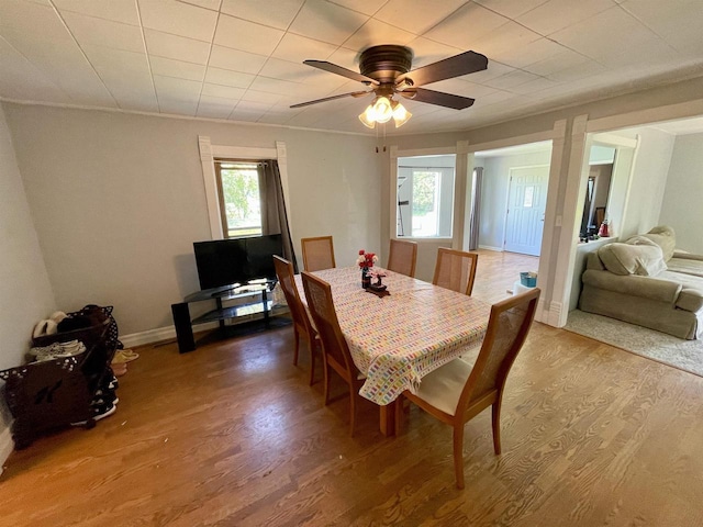 108 S Center St, Orfordville, WI 53576 - dining space with wood finished floors, a ceiling fan, and baseboards