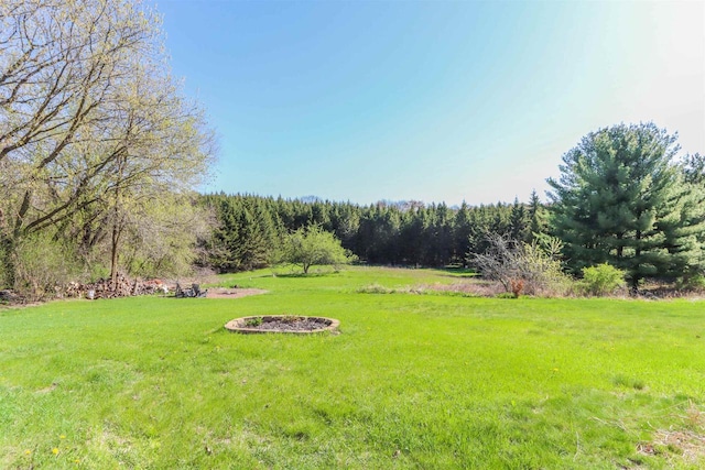 N4618 State Road 49, Waupaca, WI 54981 - view of green lawn featuring a forest view