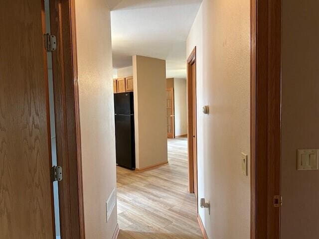 1521 Raveen St, Fort Atkinson, WI 53538 - hall featuring light wood-type flooring and baseboards
