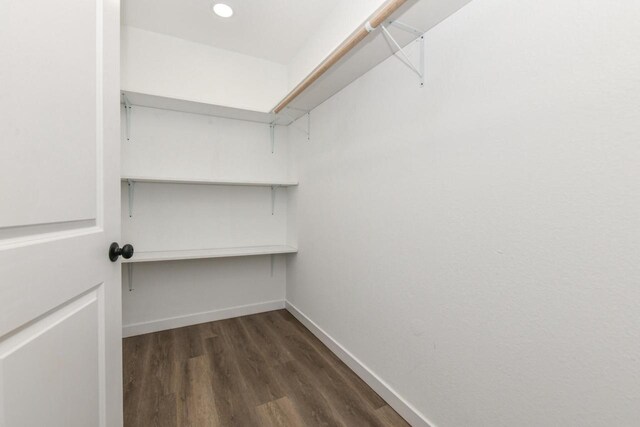 7113 N Navajo Ave, Glendale, WI 53217 - walk in closet with dark wood-style floors