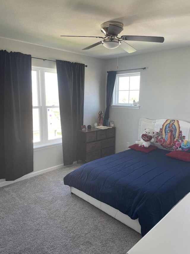 425 Champlain Dr, Johnson Creek, WI 53038 - carpeted bedroom with a ceiling fan and baseboards