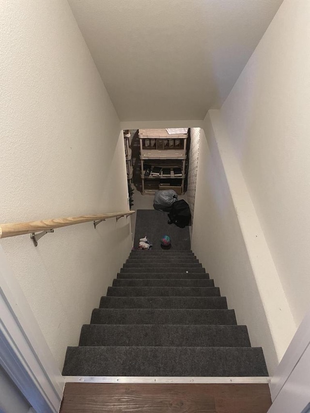 425 Champlain Dr, Johnson Creek, WI 53038 - view of stairs