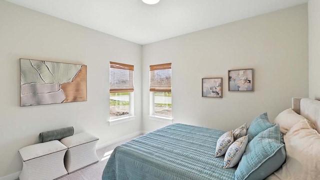 1117 5th Ave Unit Lt38, Union Grove, WI 53182 - carpeted bedroom with baseboards