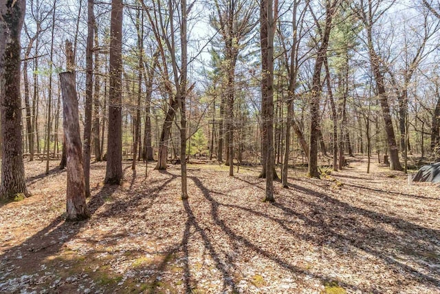 1809 S Badger Ct, Arkdale, WI 54613 - view of tree filled area