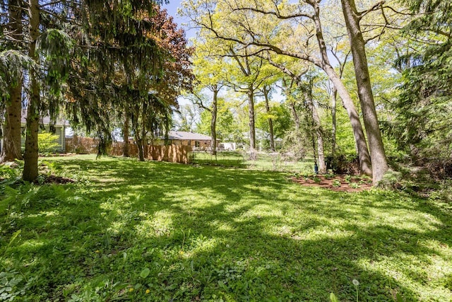 N56W27528 Lisbon Rd, Lisbon, WI 53089 - view of yard