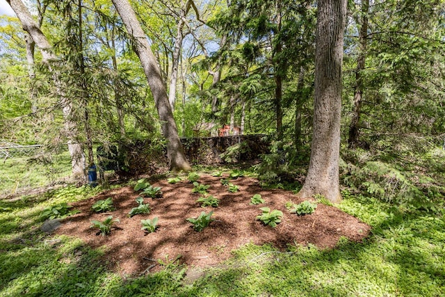 N56W27528 Lisbon Rd, Lisbon, WI 53089 - view of yard featuring a wooded view
