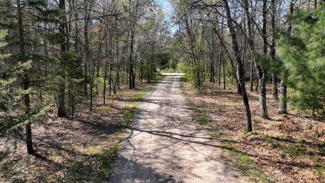 10ACRES Beaver Ave, Hancock, WI 54943