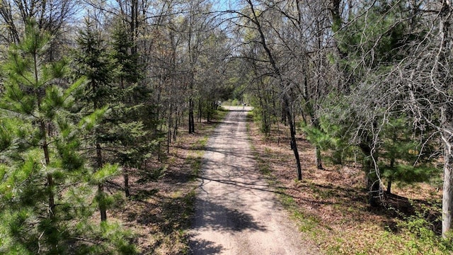 10ACRES Beaver Ave, Hancock, WI 54943