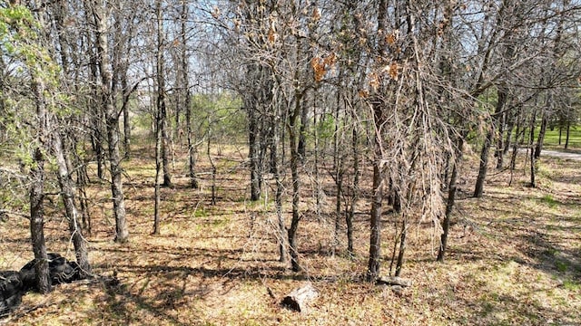 10ACRES Beaver Ave, Hancock, WI 54943