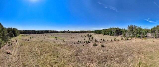 10ACRES Beaver Ave, Hancock, WI 54943