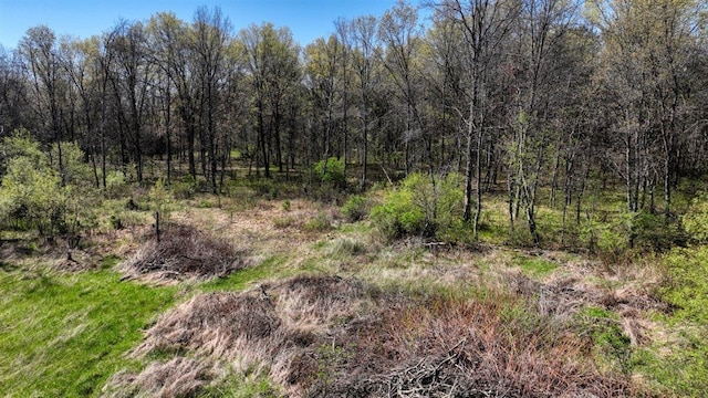 10ACRES Beaver Ave, Hancock, WI 54943