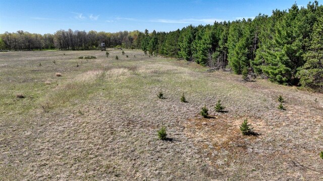 10ACRES Beaver Ave, Hancock, WI 54943