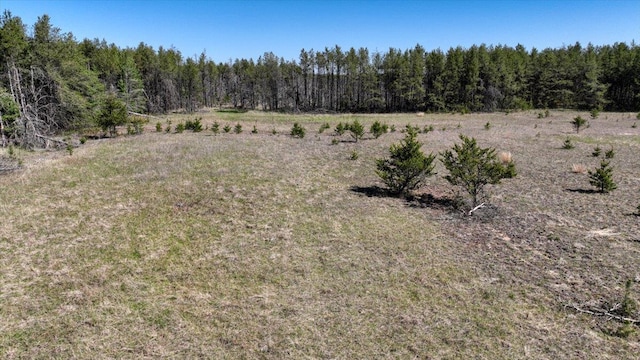 10ACRES Beaver Ave, Hancock, WI 54943
