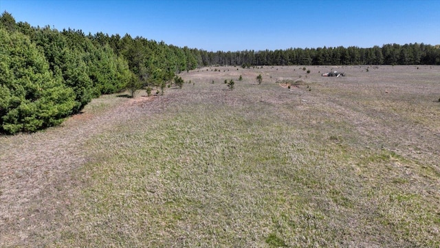 10ACRES Beaver Ave, Hancock, WI 54943