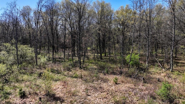 10ACRES Beaver Ave, Hancock, WI 54943