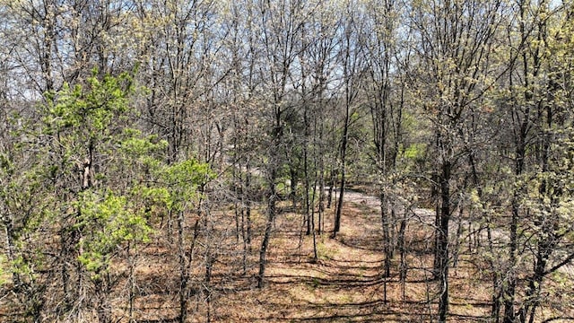 10ACRES Beaver Ave, Hancock, WI 54943