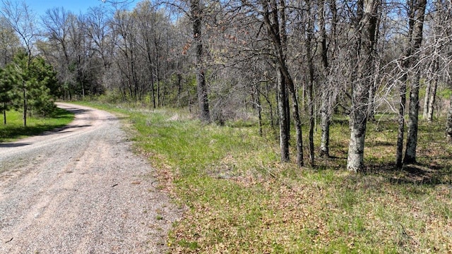 10ACRES Beaver Ave, Hancock, WI 54943