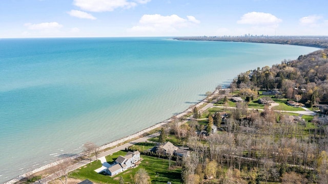 7515 N Beach Dr, Fox Point, WI 53217 - bird's eye view of a large body of water