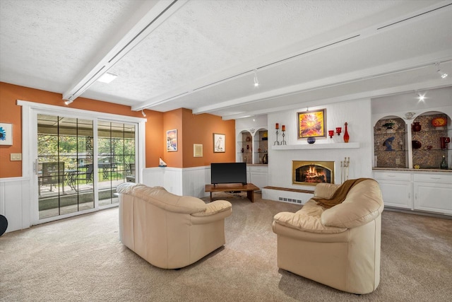 1401 Scenic Dr, Hubertus, WI 53033 - living area with rail lighting, beam ceiling, a textured ceiling, carpet flooring, and a wainscoted wall
