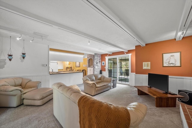 1401 Scenic Dr, Hubertus, WI 53033 - living room featuring carpet flooring, rail lighting, a wainscoted wall, beamed ceiling, and arched walkways