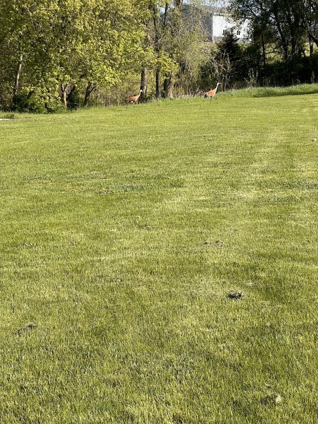 S89W35217 Amber Ct, Eagle, WI 53119 - view of green lawn