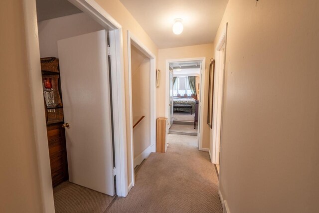 1226 Lake St, White Lake, WI 54491 - hall featuring light carpet, an upstairs landing, and baseboards