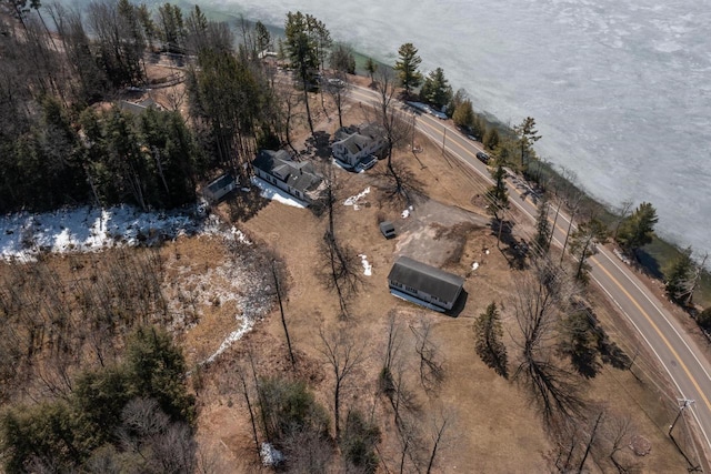 1226 Lake St, White Lake, WI 54491 - aerial view of property and surrounding area