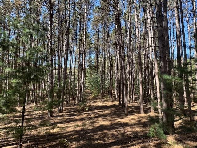 W9188 Olaf Ct, Wautoma, WI 54982