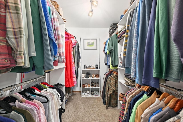 5458 Cascade Dr, West Bend, WI 53095 - spacious closet with carpet