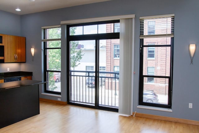 615 W Main St Unit 205, Madison, WI 53703 - doorway with light wood finished floors, baseboards, plenty of natural light, and recessed lighting