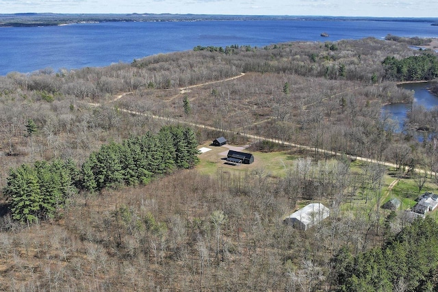 W4310 33rd St, Necedah, WI 54646 - aerial view of property and surrounding area featuring a large body of water
