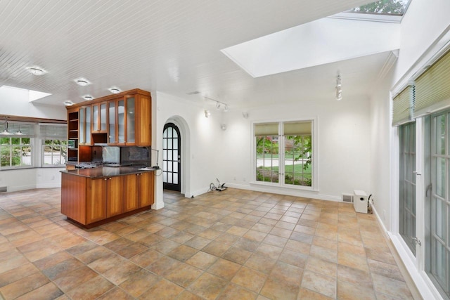 923 Swarthmore Ct, Madison, WI 53705 - kitchen featuring a skylight, rail lighting, arched walkways, and brown cabinetry