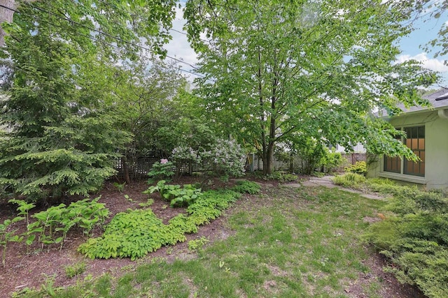 923 Swarthmore Ct, Madison, WI 53705 - view of yard