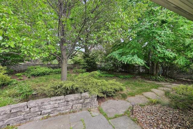 923 Swarthmore Ct, Madison, WI 53705 - view of fenced backyard